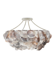 Images Shw9000-0755_3.jpg